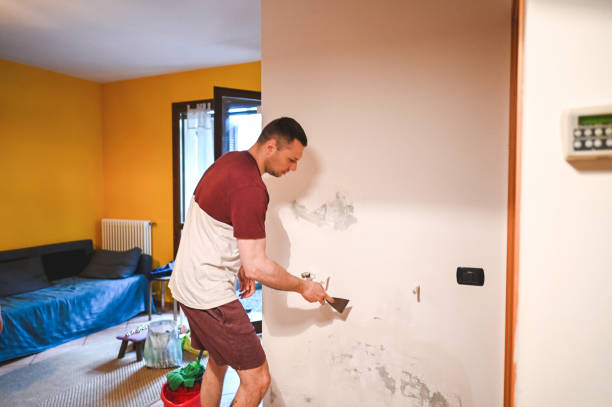 Best Crawl Space Mold Removal  in Jeannette, PA